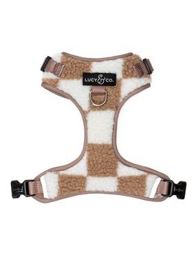 Lucy & Co Playing Checkers No-Pull Harness